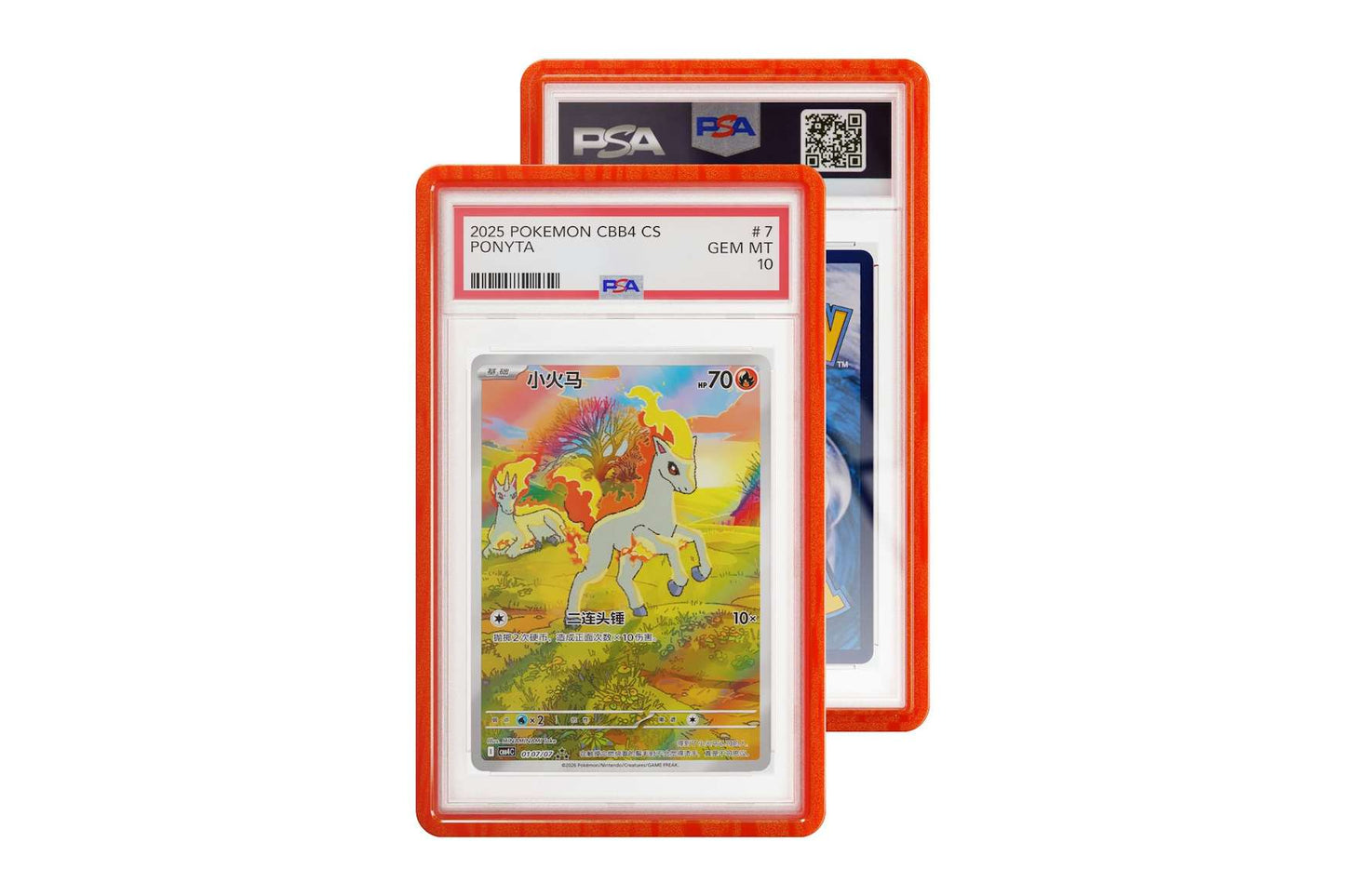 Graded Guard PSA Limited Edition Case - Year of the Horse (PSA)