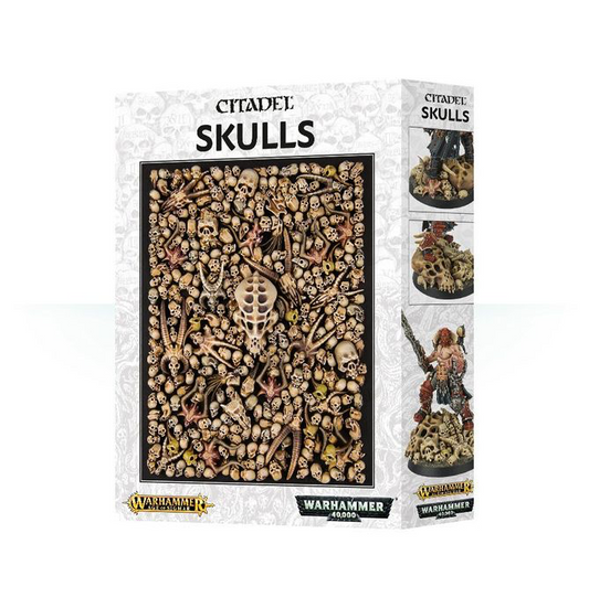 Citadel Skulls - Warhammer
